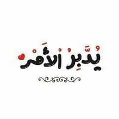 Mahmoud Elmorshdy