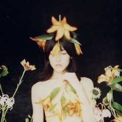 IH8Lotus
