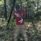 DRIZZSTAYGEEKED