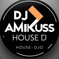 DJ AmiKuss
