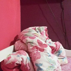 sloths  and tigers and  love