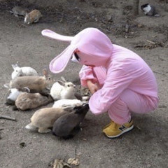 bugs bunny