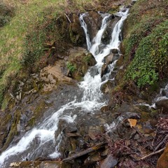 Chiara River of Creation