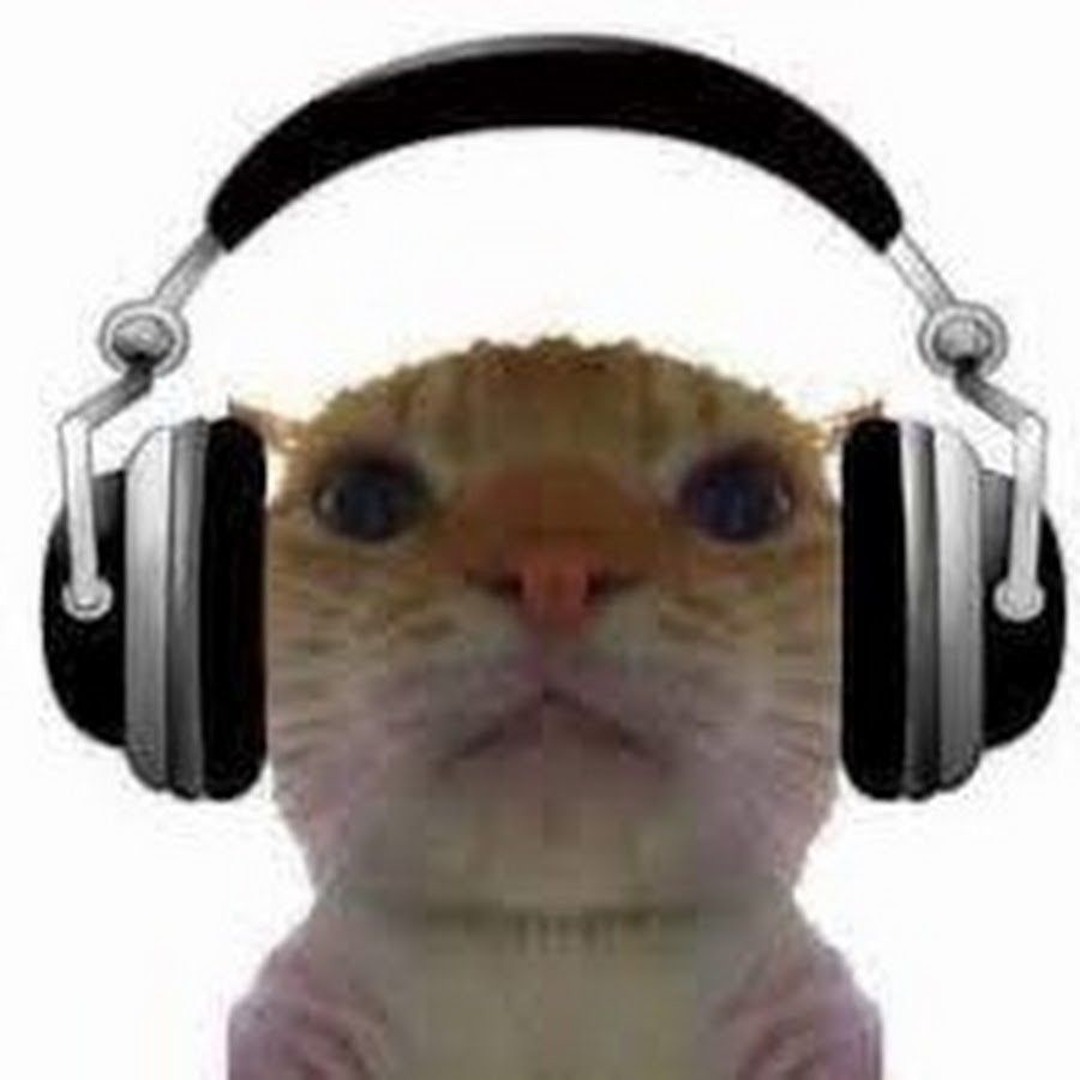 pablogamerpro739573786’s avatar