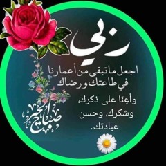 جهة أمنية
