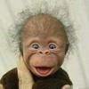 BHope avatar
