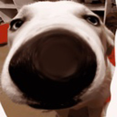 Stanboo
