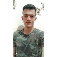 Ahmed El Awady