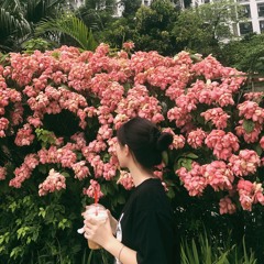 Haozi