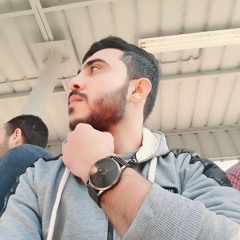 Ahmed Bendary