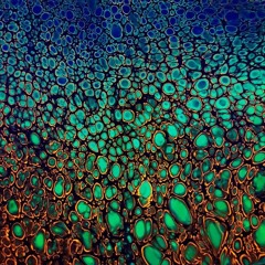 Sinthetic and the Cosmos