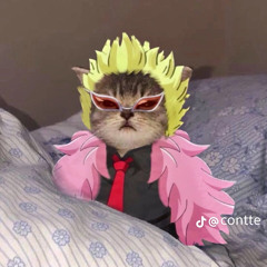 timmie_calais