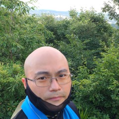 감자