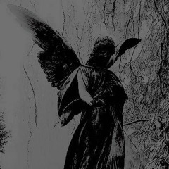 angel.of.the.unknown