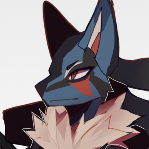 Mega Lucario’s avatar
