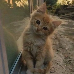 catrica
