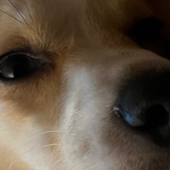 ‎