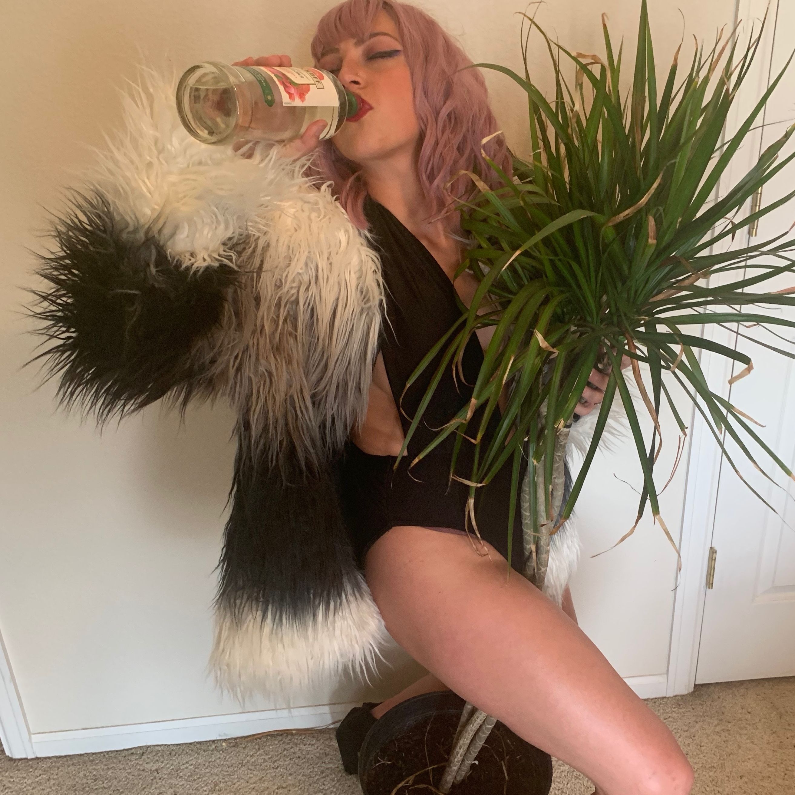 What the hell is going on?