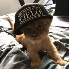 flexicoloud