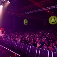 DOPESICKFLY