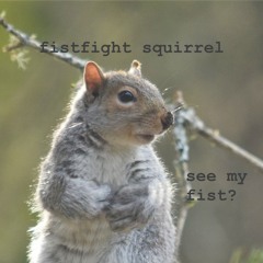 fistfight squirrel
