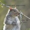 fistfight squirrel