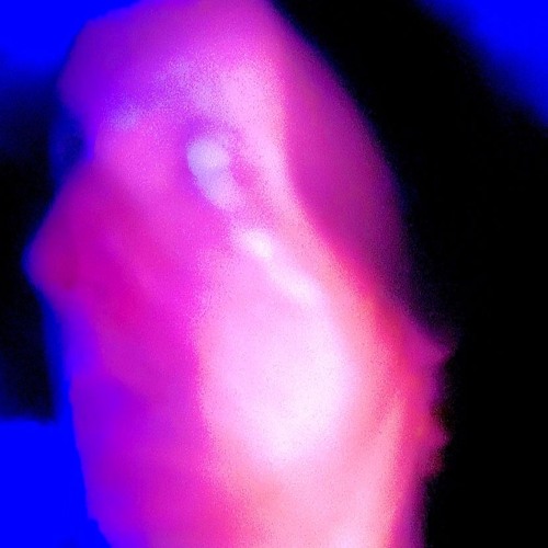 Insomniac's Manic Sound Stuff Volume. C  (electronic beatings)