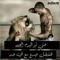 Osama Makhlouf