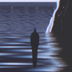 ogfloti