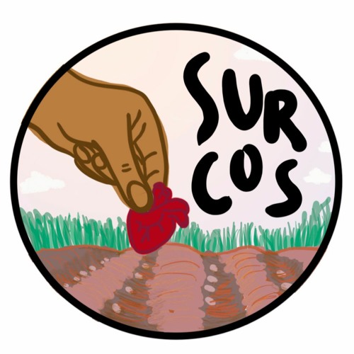 Surcos’s avatar