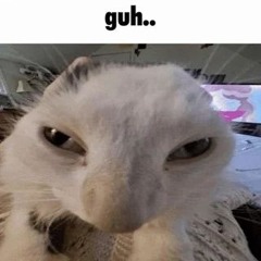 Seji