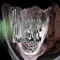 anmask