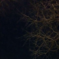 Witches' graveyard
