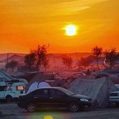 محسن ابدالی