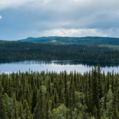 03SWEDE *𝔗𝔴𝔬𝔒𝔥𝔗𝔥𝔯𝔢𝔢*