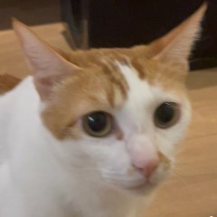 onbieCoffee