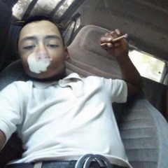 mvxim (zmsesh)