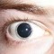HighNZ420