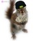 ✨️ CrackheadSquirell ✨️
