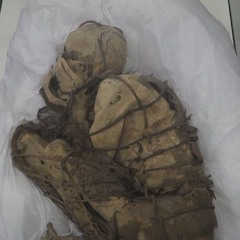 destroyed model