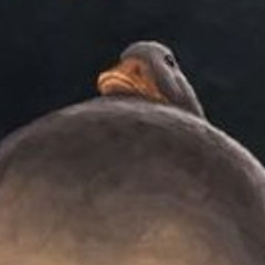 𝚇𝙼𝚇𝟷𝟹𝟷𝟹