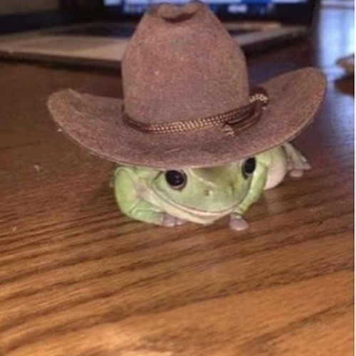 A fond dans la julietta