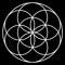 PRIMAL CIRCLES