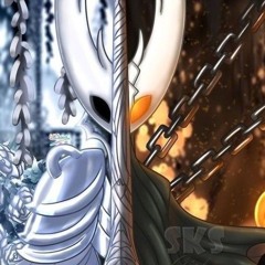 Jugador Hollow Knight ;)