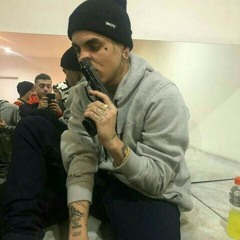 Male Paladino
