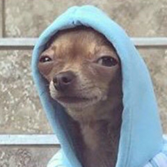 Kendle Birdman Slone