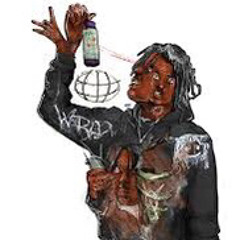 FlyPacatarI