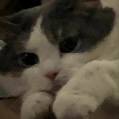 nanh