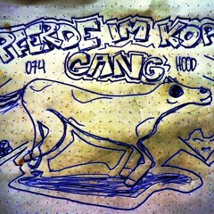 PfrondorfPferdeImKopf