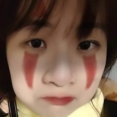 VN